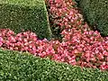 Jardin à la française