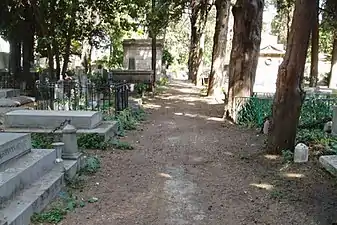 Vue générale.