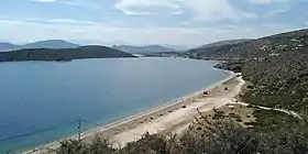 Vivári