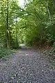 Sentier traversant le domainne du Moulin, en longeant la Leffe