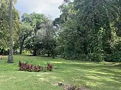 Vue du jardin