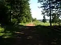 La voie Bolène