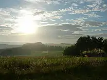 Paysage de moyennes montagnes : au premier plan des forêts et des champs, à l'arrière-plan des montagnes.