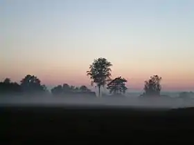 Wólka Łękawska