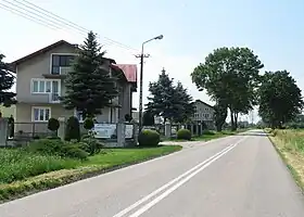 Wąsy-Kolonia