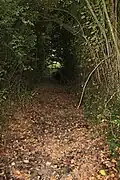 Entrée de la pêcherie, le Grand-Moulin, quelques mètres en aval de l'étang de la Thévinière.
