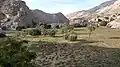 Ouadi Jib, affluent du Ouadi Shah, depuis sa confluence avec le Ouadi Arus. Émirats arabes unis.
