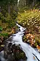 Wahkeena Falls (en), dans la gorge du Columbia. Octobre 2019.