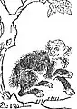 Illustration du pénghoú par Terajima Ryōan dans Wakan Sansai Zue