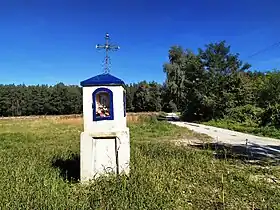 Budy-Strzyże