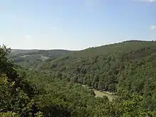 Le Taunus dans l'arrondissement