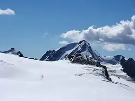 Weißkugel vu du nord.