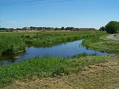 Photographie du croisement des rivières Wełna et Nielba à Wągrowiec.