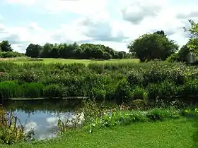 Image illustrative de l’article Parc de Pollok