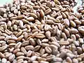 Grains de blé.