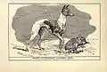 Un whippet