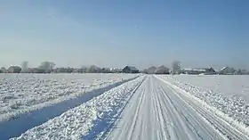 Pniewiski