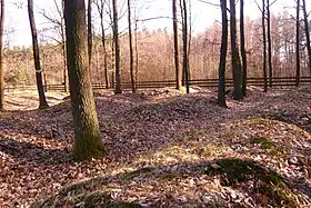 Wierzchowiska Dolne