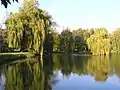 Parc