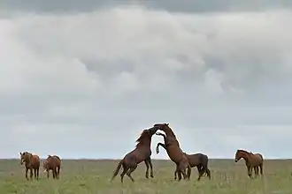 Rostov Zapovednik