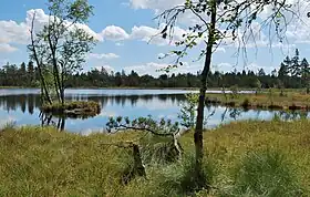 Image illustrative de l’article Lac Wild