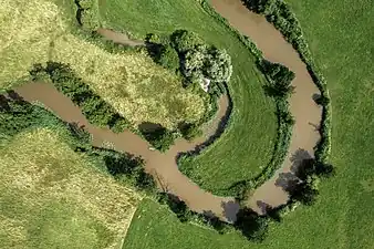 La rivière Aisch (de), en Bavière. Juillet 2021.