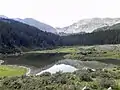 Le lac Williams.