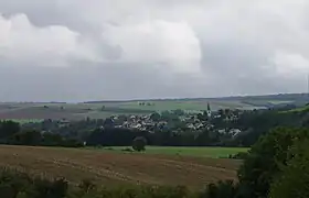 Wipfeld