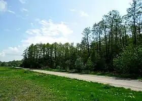 Wolica Kozia