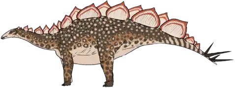 Wuerhosaurus