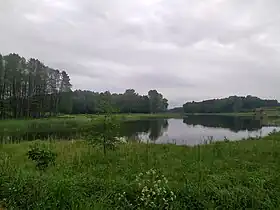 Wygnanka (Mazovie)