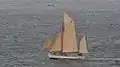 Wyvern 1897
