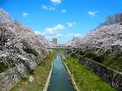 Rivière Yamazaki