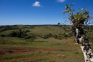 Alto de la Clarita