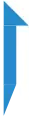 Drapeau complet zurichois.