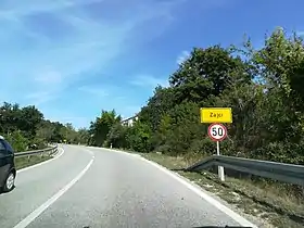Zajci
