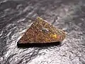 Météorite de Zakłodzie (en), une achondrite primitive non groupée. Masse : 1,08 g.