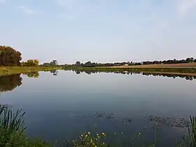 Skorczyce