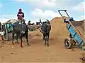 Moyens de transport traditionnels.
