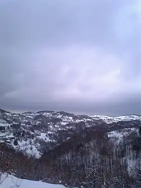 Zlatićevo