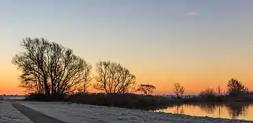 Aurore à Langweerderwielen (Langwarder Wielen). Décembre 2016.