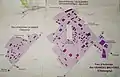 zones d'activités de la COPAMO