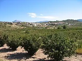 Zucaina