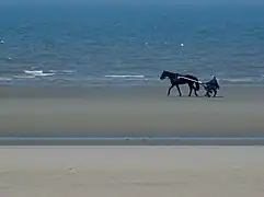 Plage de Zuydcoote.