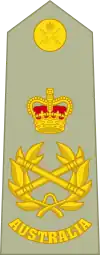 Image illustrative de l’article Field marshal (Australie)