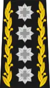 Image illustrative de l’article Général de l'Armée suisse