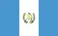 Image illustrative de l’article Guatemala aux Jeux olympiques