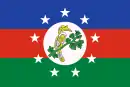 Drapeau de État Chin