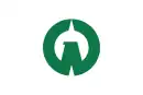 Drapeau de Iruma-shi
