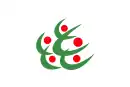 Drapeau de Kitakata-shi